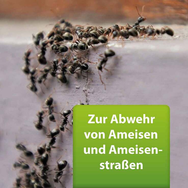 Ardap Repell Ameisenspray, 400 ml
