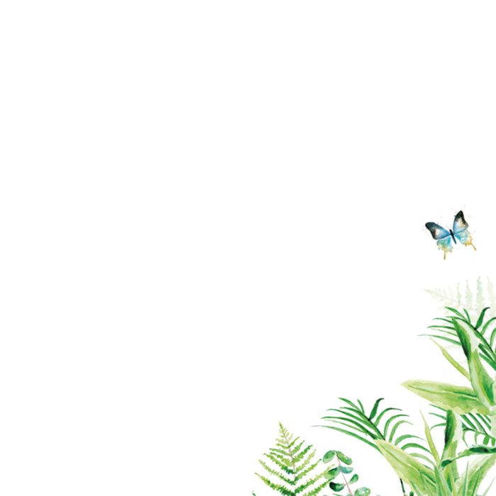 Michelle Dujardin | Verjaardag | Zus | Jungle
