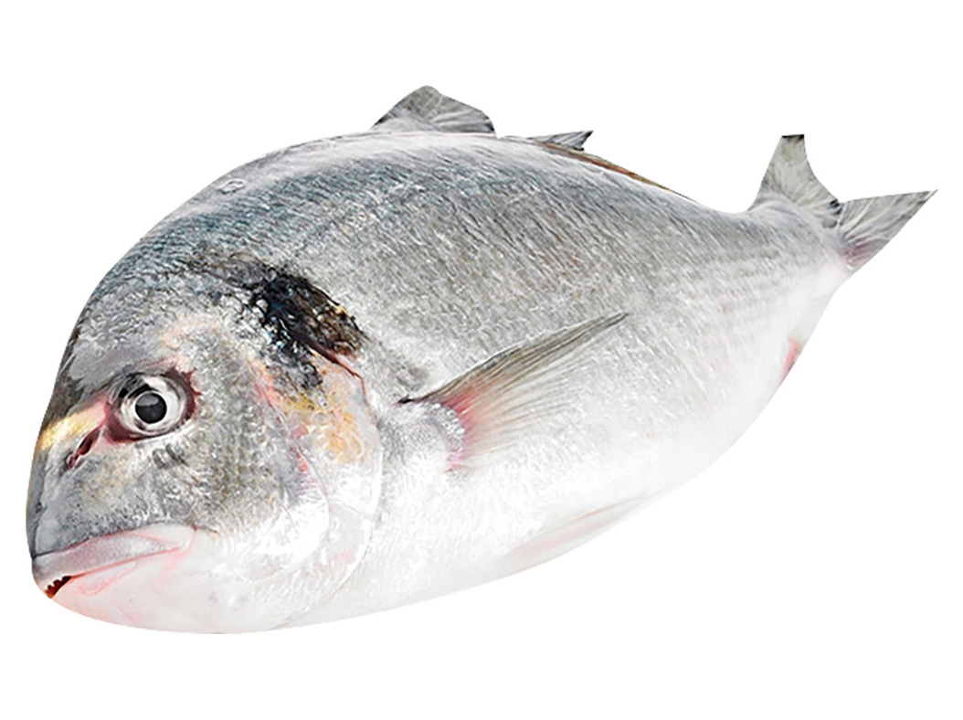 DOURADA GRANDE 800G A 1KG