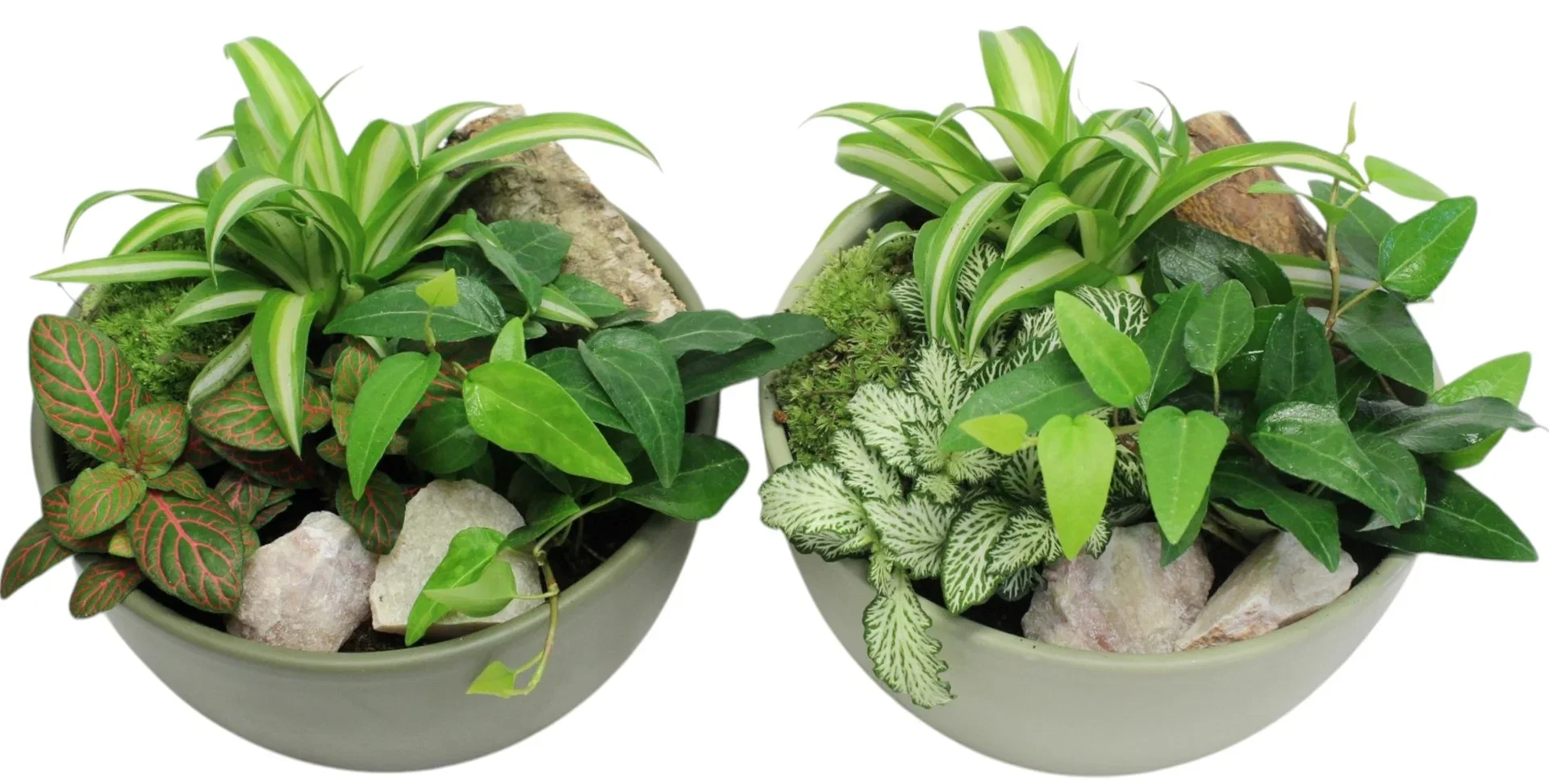 Grønne planter dec. i potte Ø18 cm