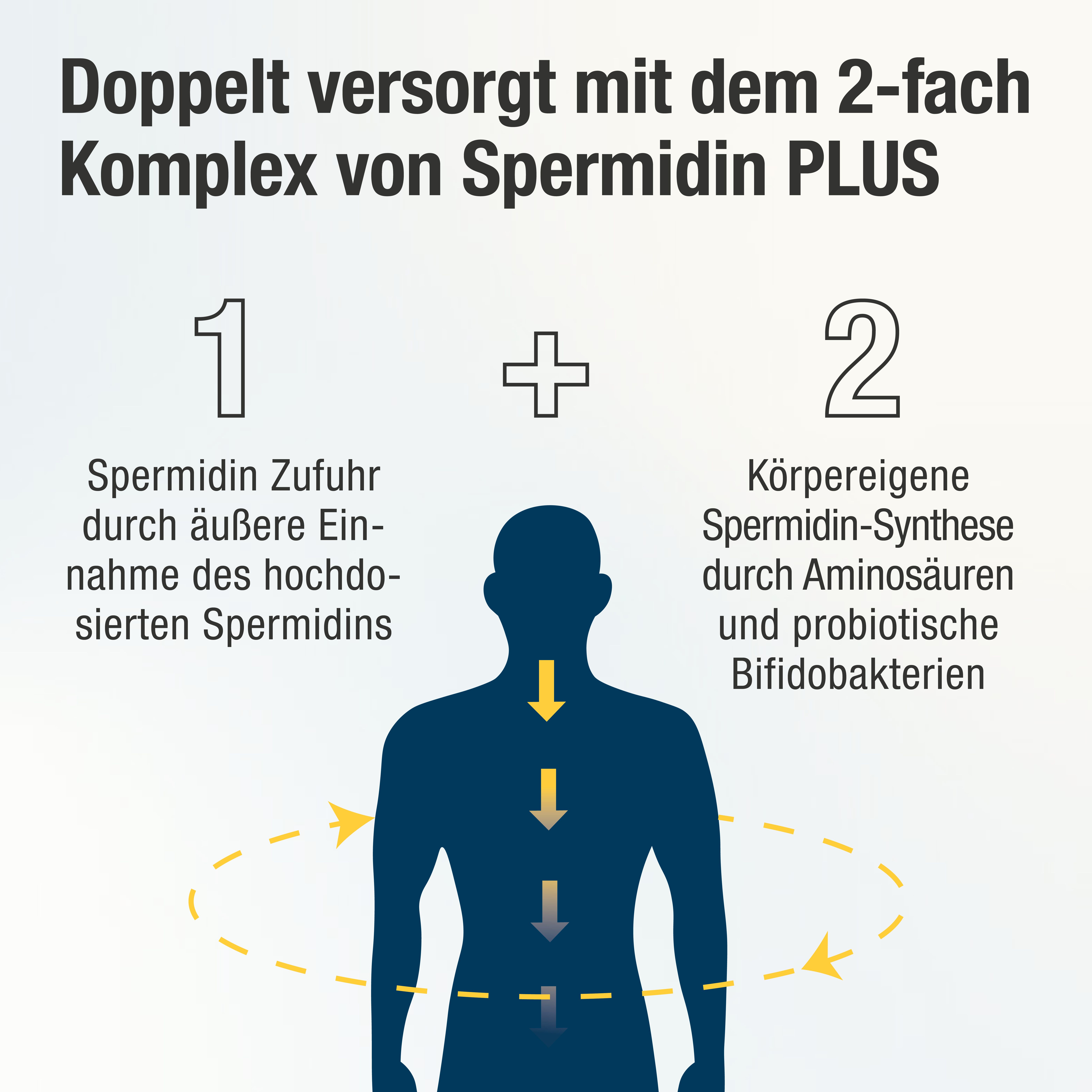 SPERMIDIN PLUS