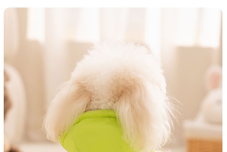 Cissilli - Letterapplicatie Pet Overall met capuchon