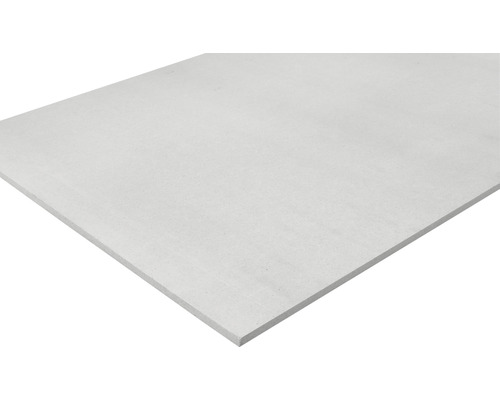 Knauf gipsvezelplaat Vidiwall 1Mann 1500 x 1000 x 10 mm