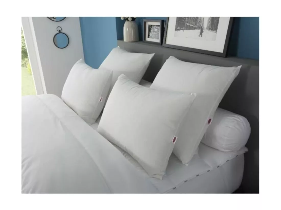 DODO Oreiller a memoire de forme MEMOFORME 60x60cm