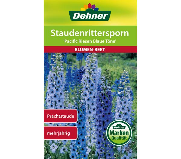 Dehner Samen Staudenrittersporn 'Pacific