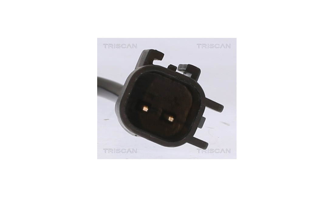 ABS sensor