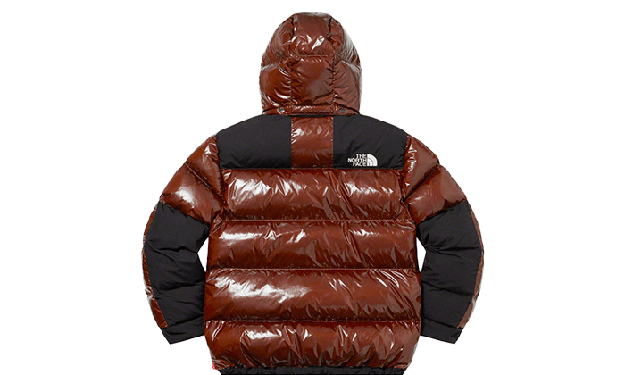 Supreme The North Face 700-Fill Down Parka Brown