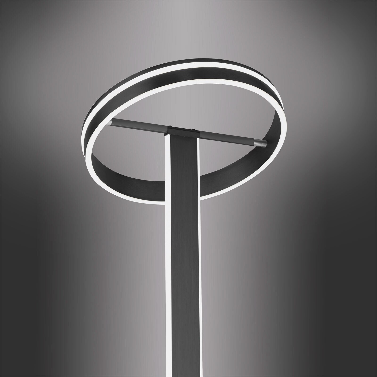 Paul Neuhaus Smart Home LED Stehlampe Q-VITO anthrazit