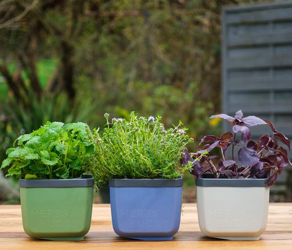 Gusta Garden Kräutertöpfe Herbs Buddy, ca.