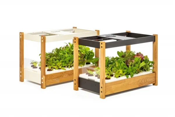 Click and Grow 25 - White (Salad Greens 54x pack)