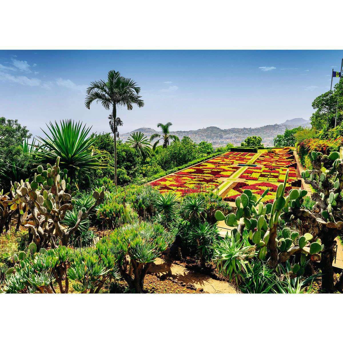 Ravensburger Spiel Botanical Garden, Madeira