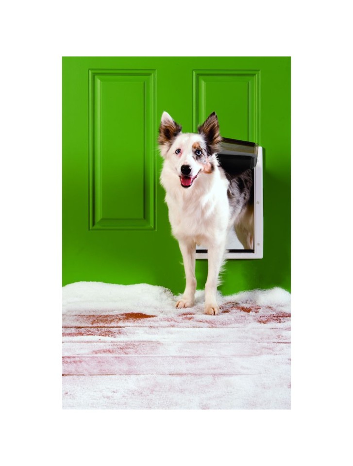Petsafe - Hundelem til ekstremt vejr - M