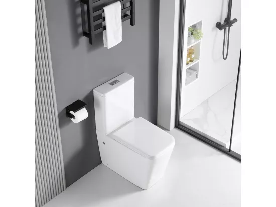 Toilette WC à poser BRAGADO en céramique