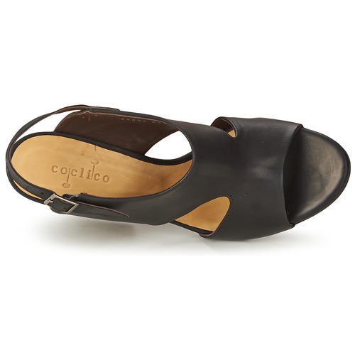 Coclico - CASPAR Negro