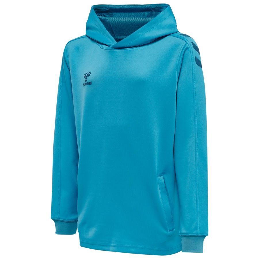 Sweat à capuche
