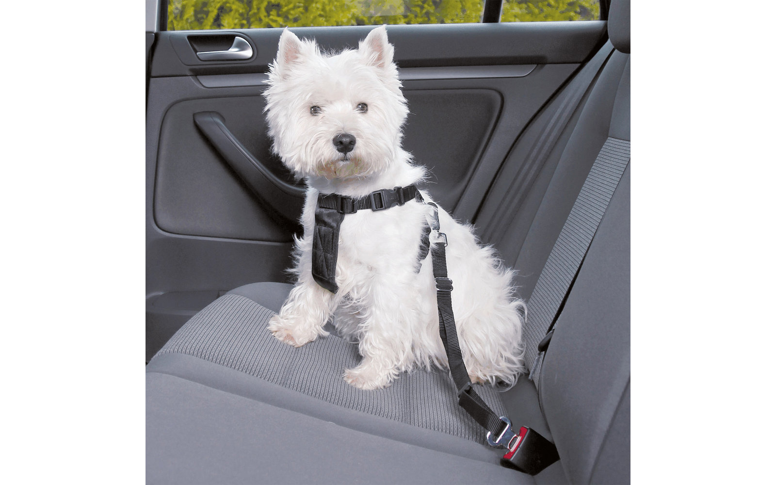 Jollypaw Autogeschirr Größe M 50-70 cm