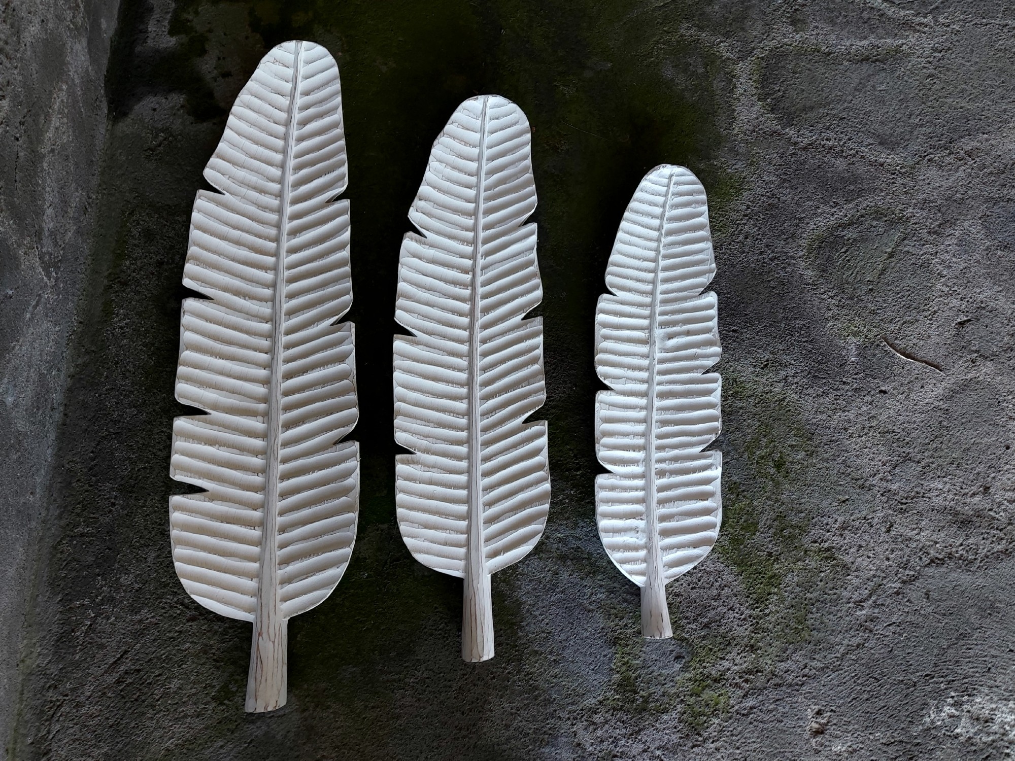 Deko-Schale Bananenblatt, Holz, weiß, B 60 cm, T 17 cm, H 3 cm von fischer's lagerhaus