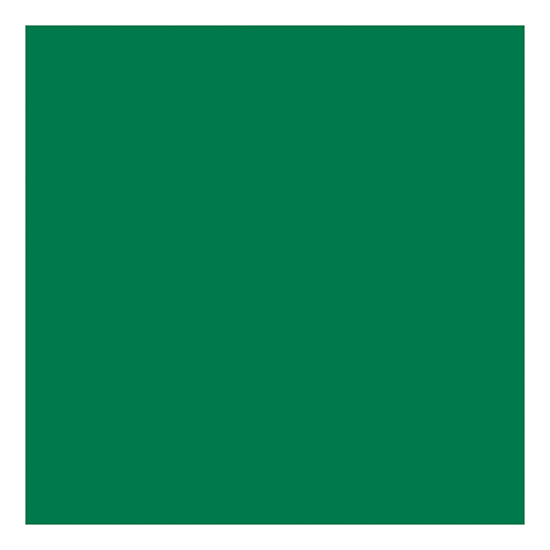 Tissuepapier Groen 10 Vellen 14 gr, 50x70cm
