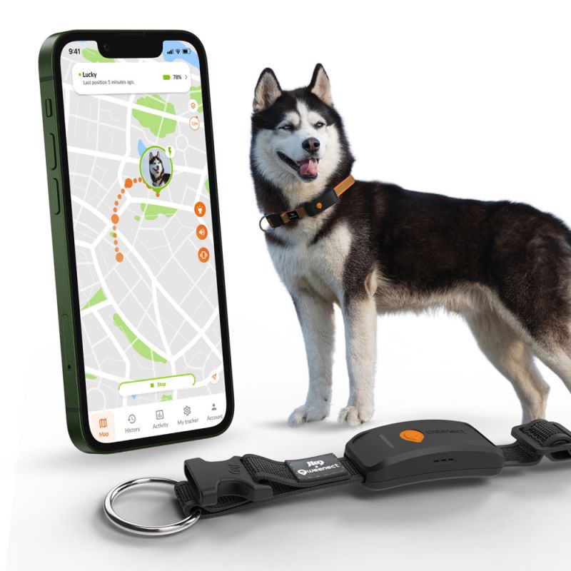 Weenect XT - Halsband met GPS tracker - Zwart