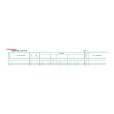 Exacompta - Journal de caisse ou banque - 17 débits/9 crédits - 29,7 x 38 cm - 80 pages