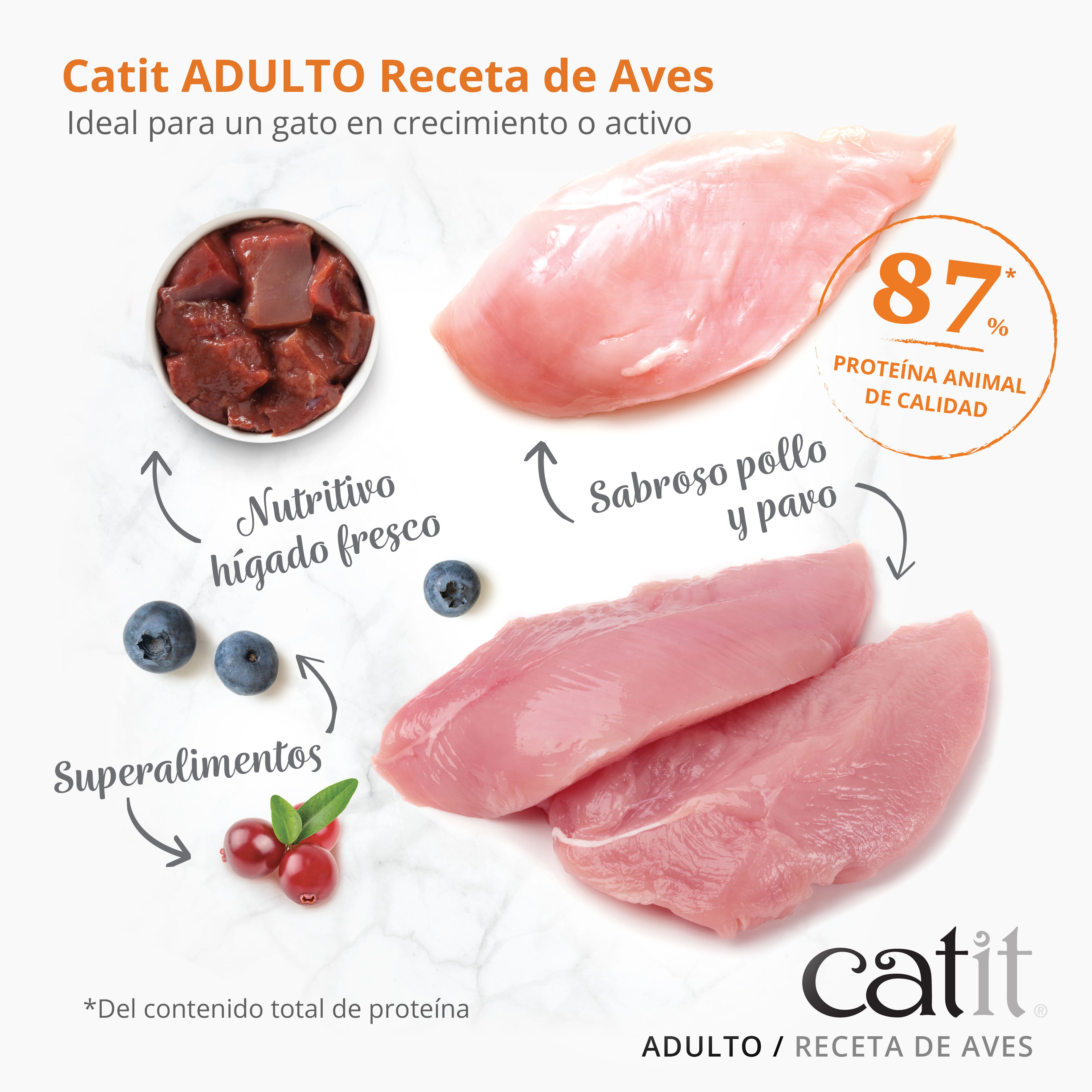 Catit Recipes Alimento para Gatos Domésticos/Esterilizados - Receita para Pássaros, 2 kg