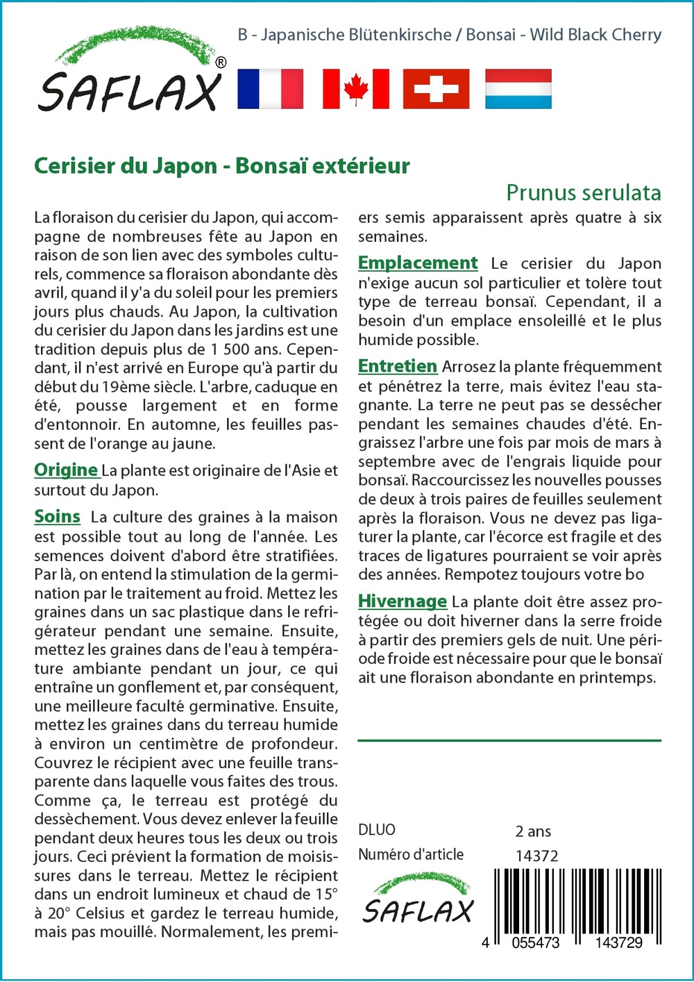 Cerisier du japon - 30 graines - prunus serulata