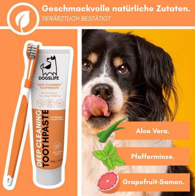 Dental Kit - DogsLife