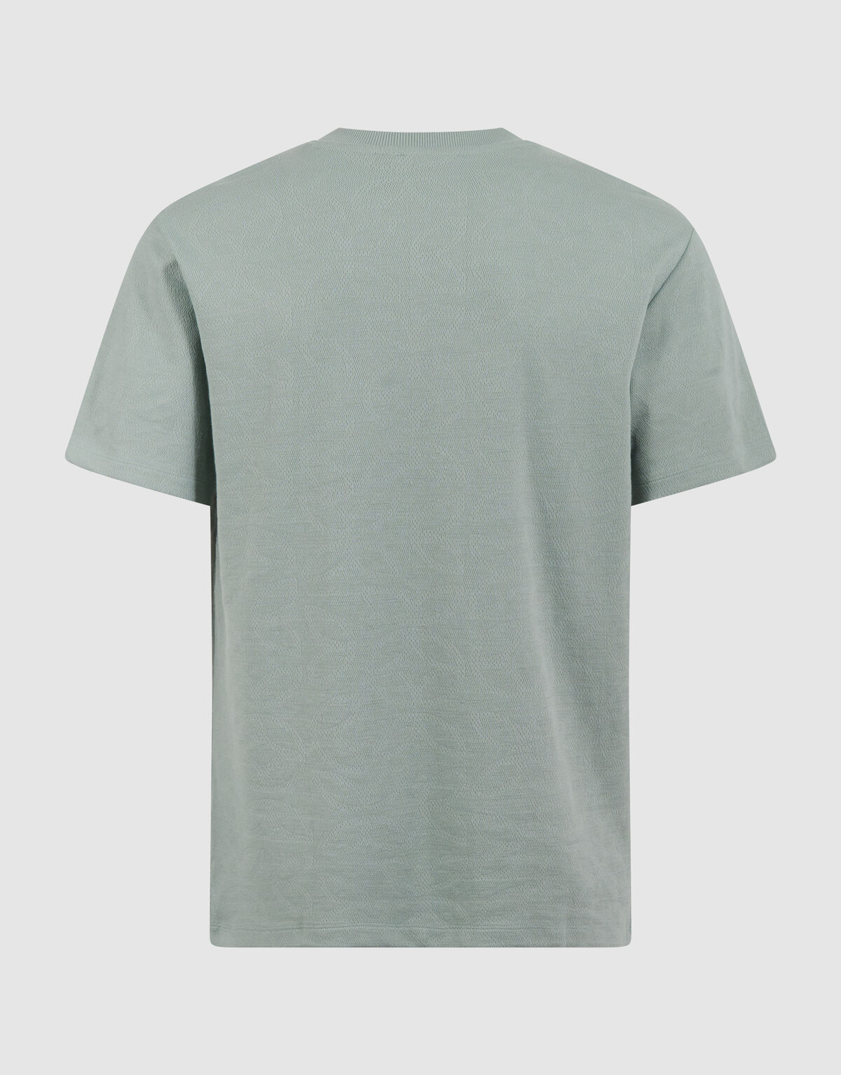 Spark Structuur T-shirt Lichtgroen