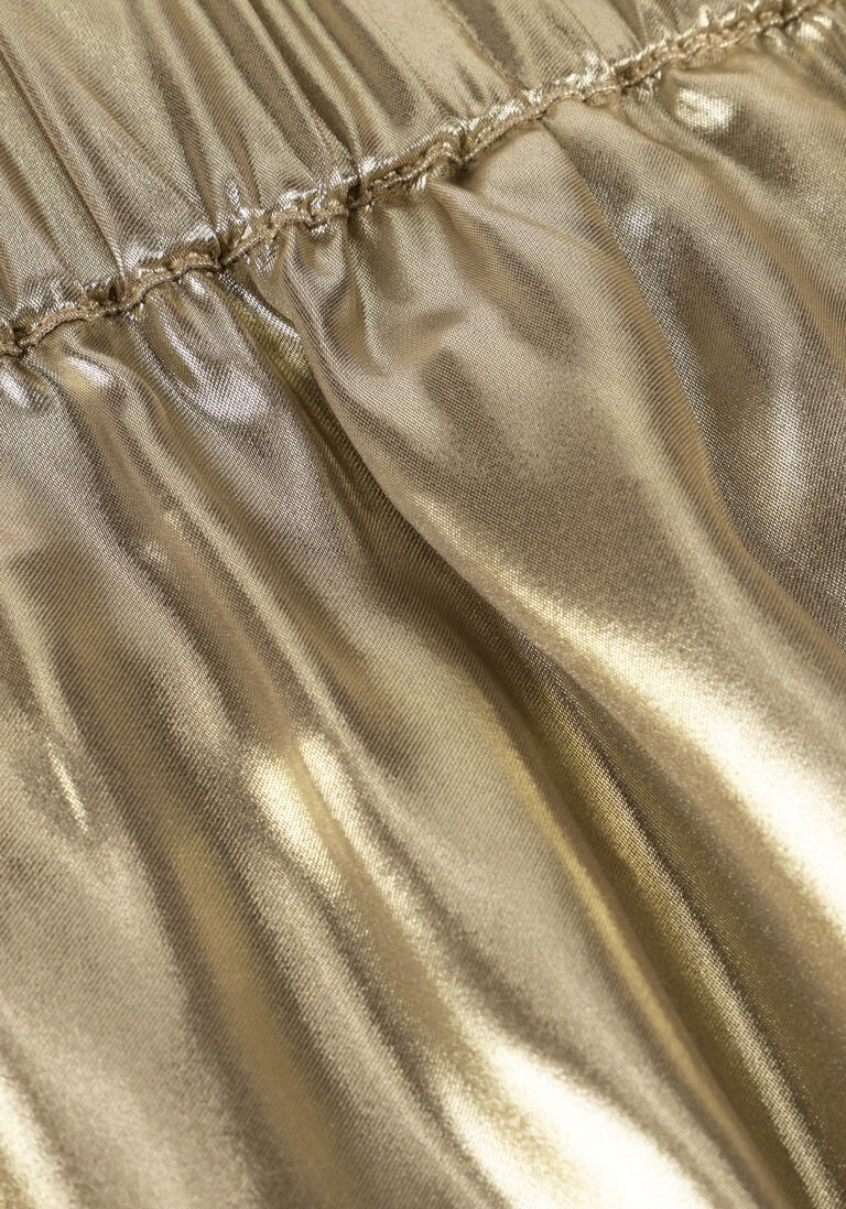 gouden dante6 korte broek levine metallic shorts