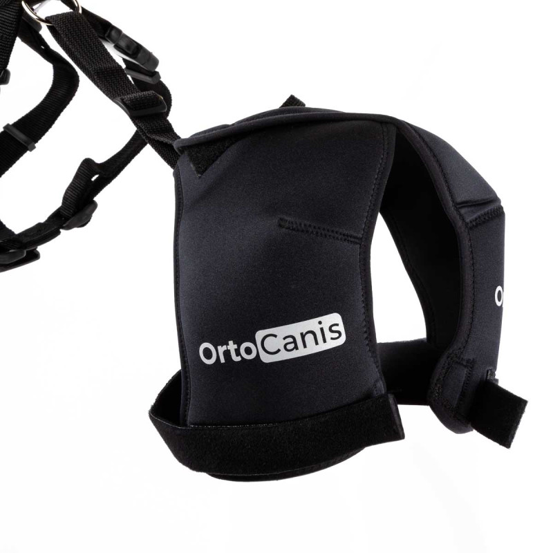 Suporte para o quadril em cães com displasia coxofemoral ou osteoartrite.