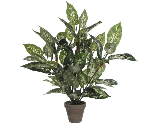 Kunstplant Dieffenbachia Dieffenbachia Ø 55 H 70 cm groen