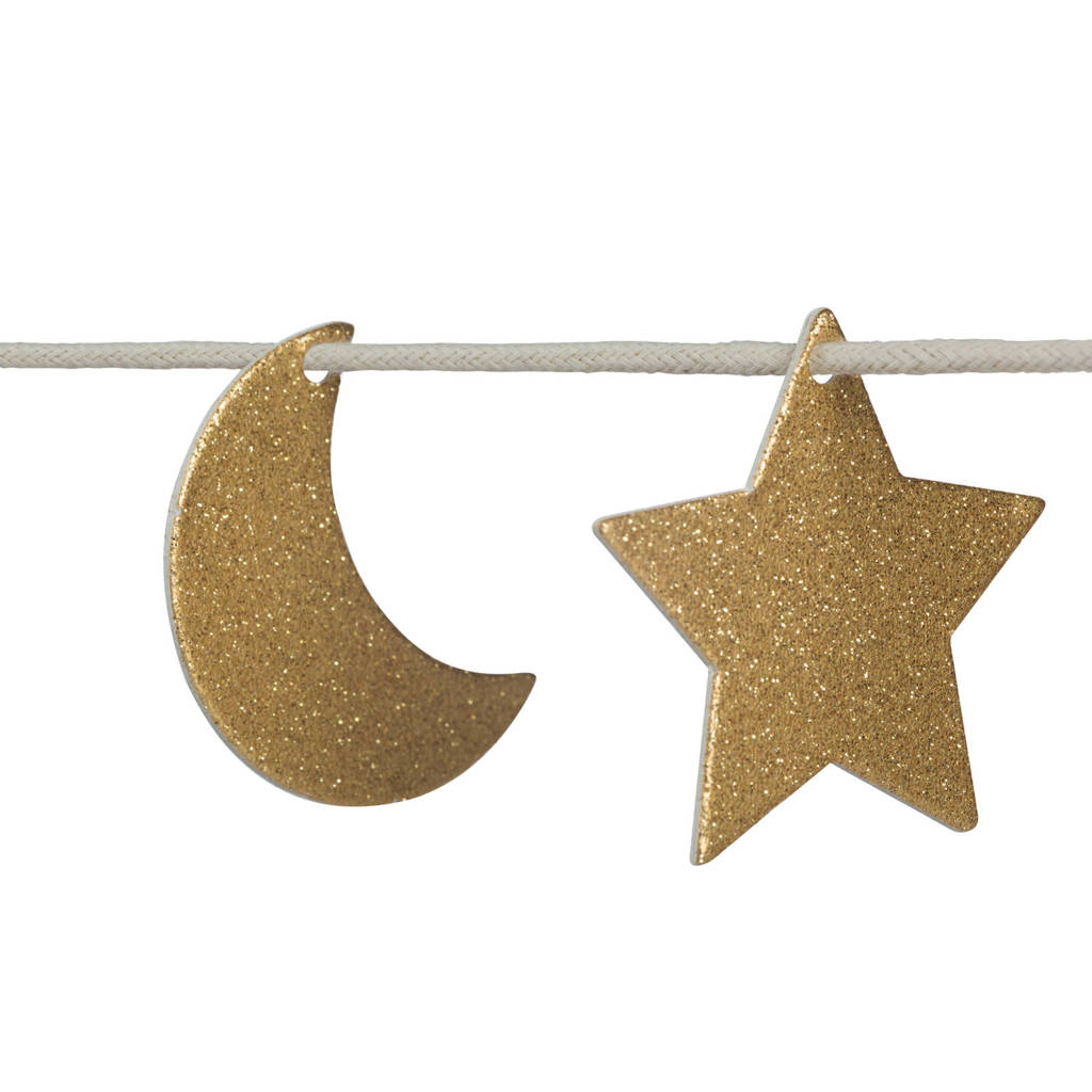 feestslinger shiny garland