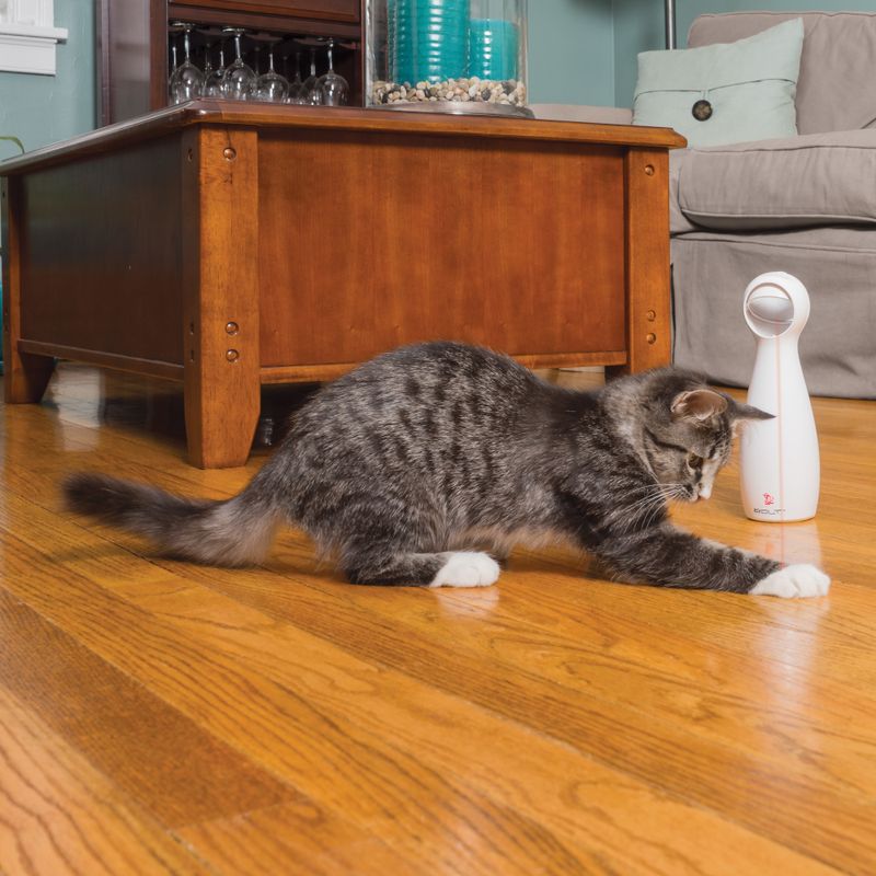 Jouet laser FroliCat Bolt Laser à prix discount sur bitiba.fr