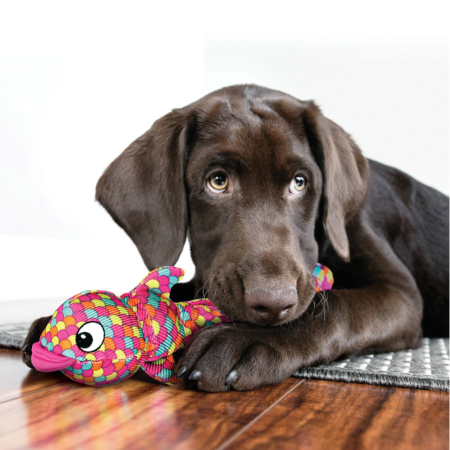 Brinquedo Kong Wubba Finz Peixe Rosa para cães