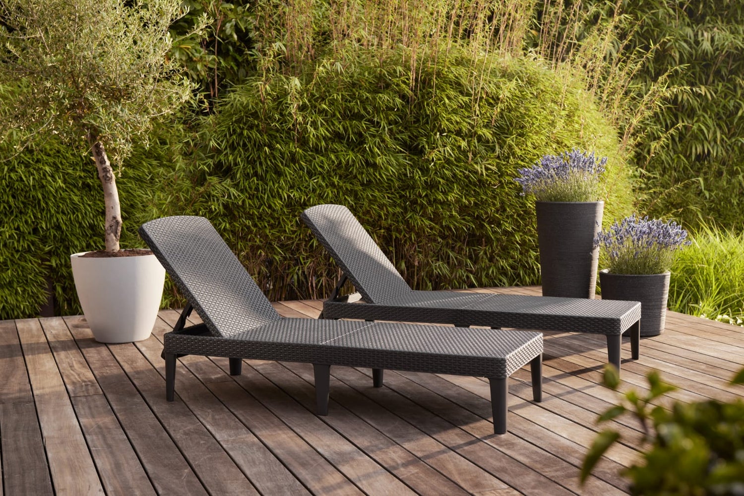 Keter Jaipur ligstoel - 4 standen - incl. kussen - 187,5x58x29cm - Grafiet