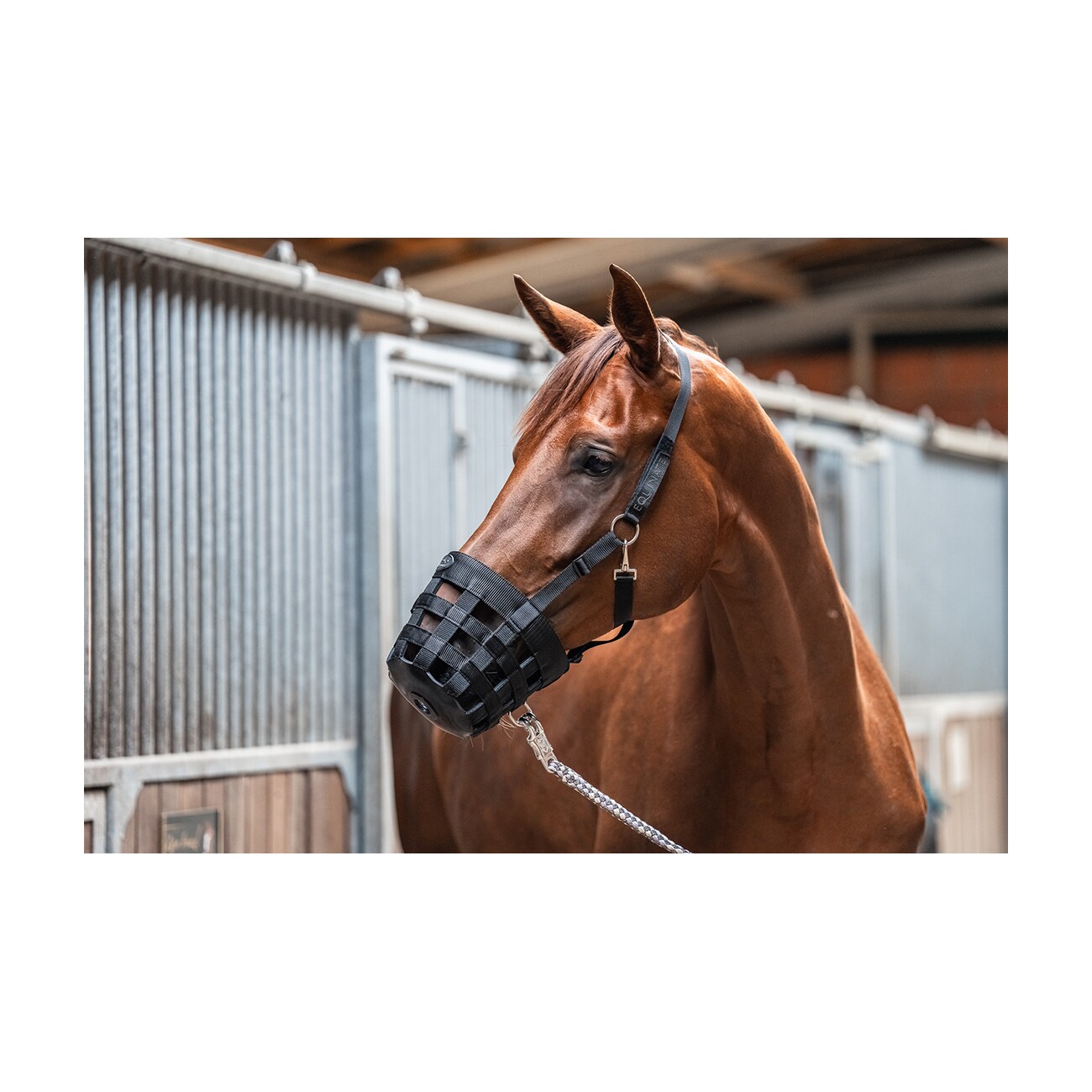 Equinate Fressbremse Grazeguard mit Polsterband WB (Warmblut)