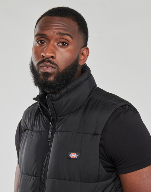Dickies - WALDENBURG Negro