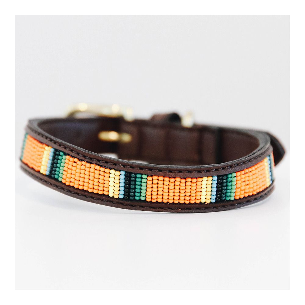Kentucky 42548 -  Collier pour chien pur orange