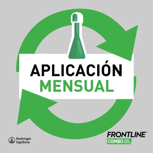 Pipetas antiparasitárias Frontline Combo para cães de pequeno porte