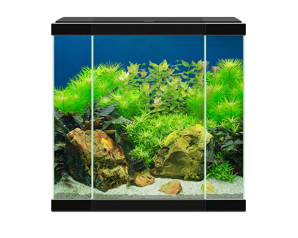 Aqua 30 LED Preto Ciano - Conjunto completo com LED, filtro e consumíveis