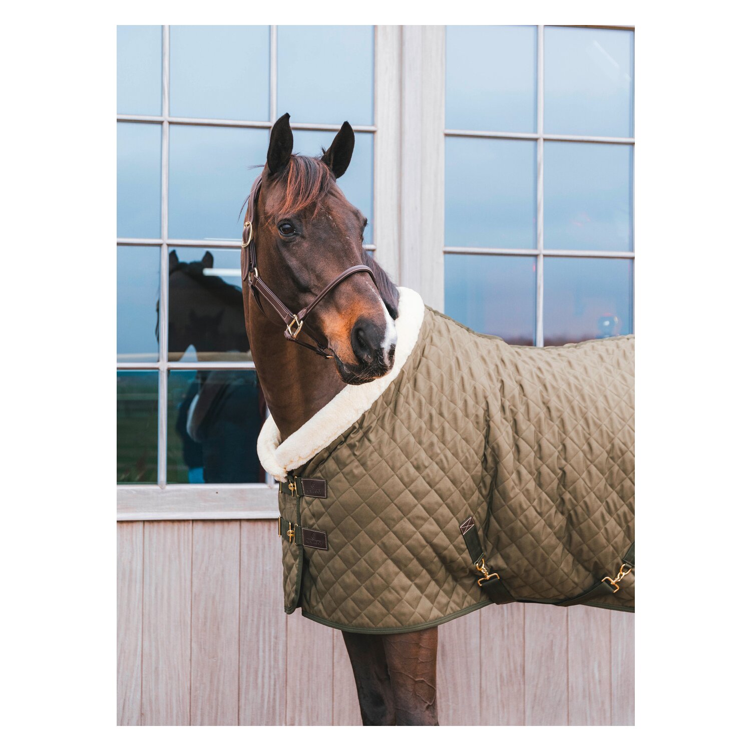 KENTUCKY Show Rug - khaki