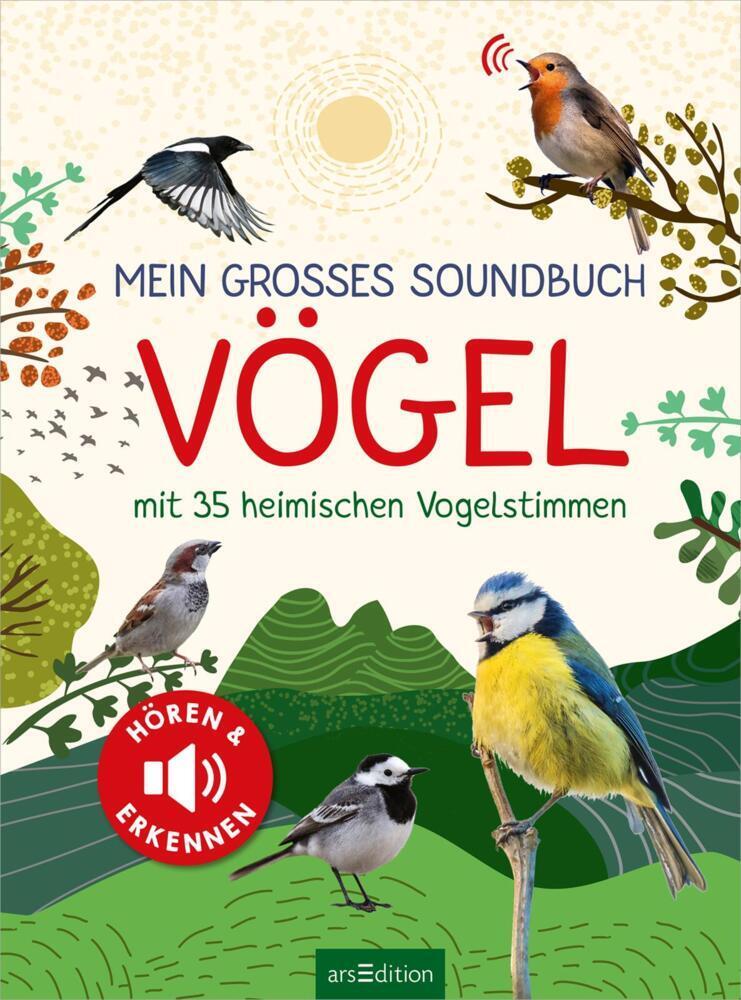 Mein großes Soundbuch Vögel