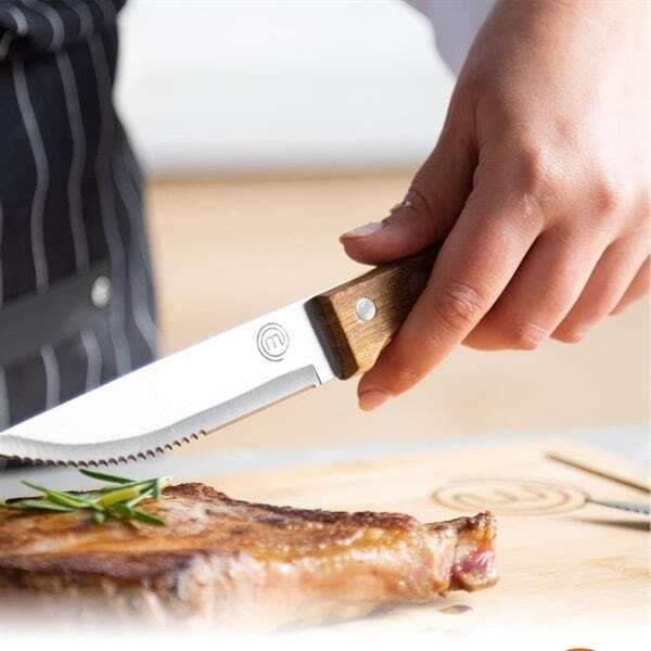 Masterchef Essential Stegeknive 4-pak