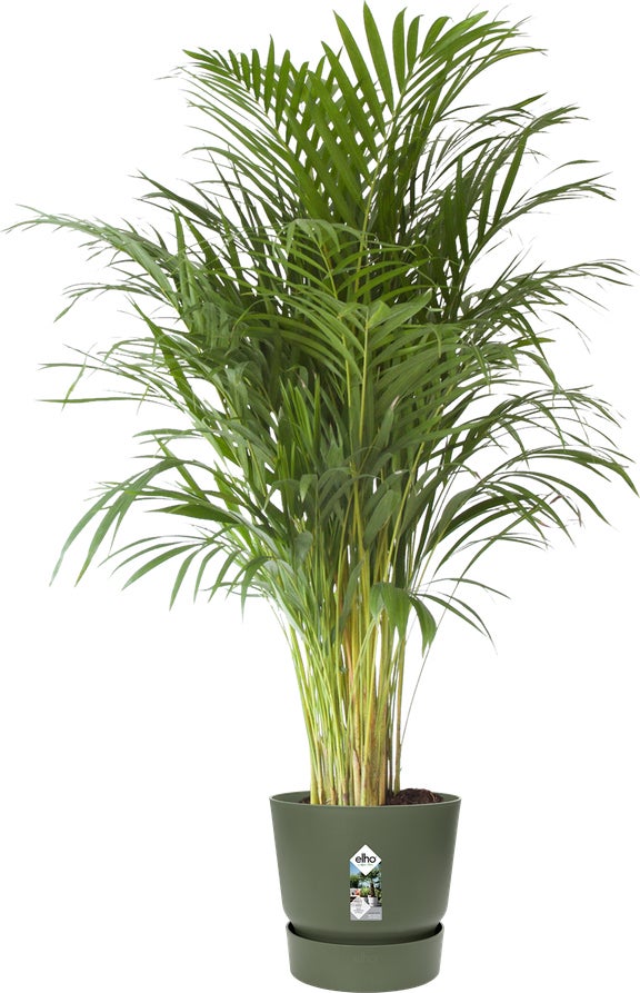 Elho bloempot Greenville groen D 47 H 44 cm
