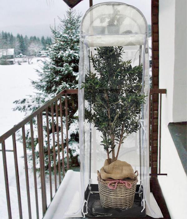 Videx Frostschutzhaus Snow, transparent, ca.