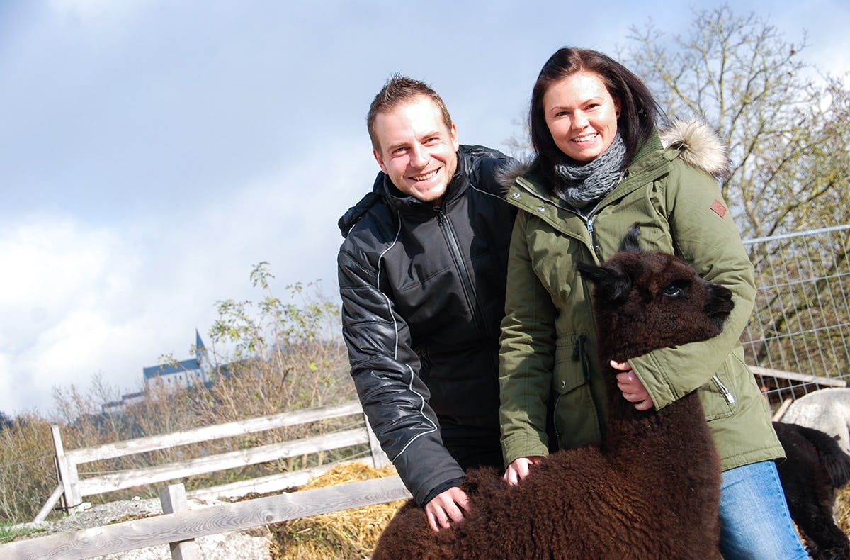 Alpaka Wanderung Sankt Thomas am Blasenstein
