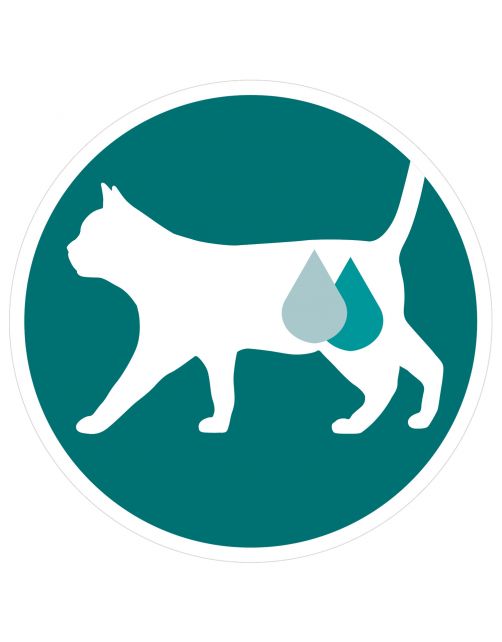 Purina One Adult Kat - Kattenvoer - Kip Sperziebonen 4x85 g