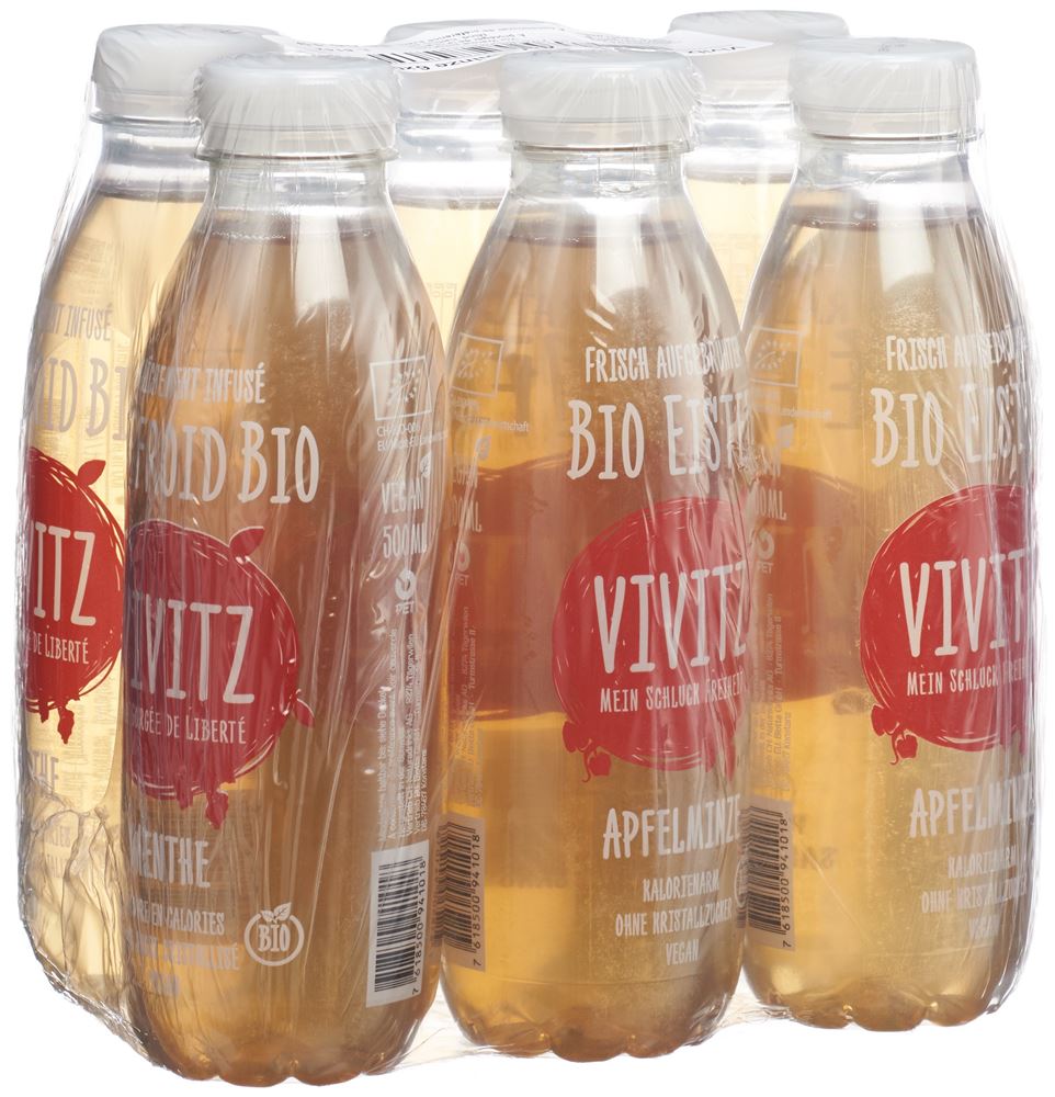VIVITZ Bio Eistee Apfelminze 0.5 lt