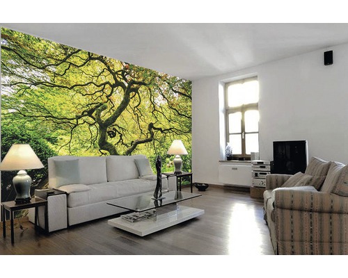 Vliesbehang 18037 Japanse Esdoorn 7-delige set 350 x 260 cm