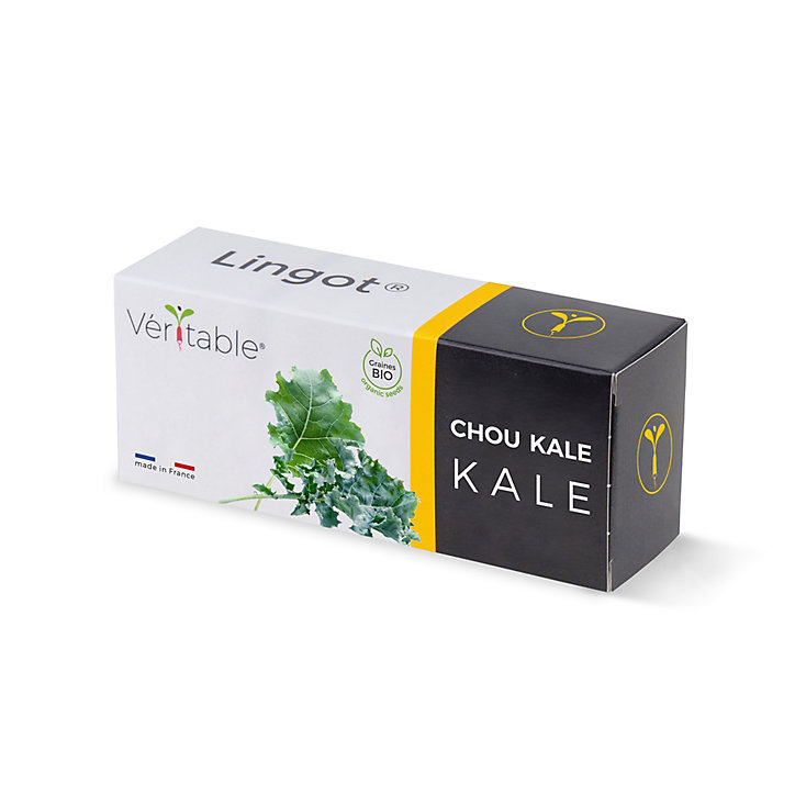 Lingot® Chou kale Bio pour potager Véritable®